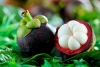 Mangostán: ¿la fruta que cura?