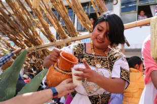 Feria del pulque; el elixir de los dioses