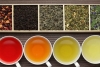 Los 5 tipos de té que debes integrar en tu mundo hoy mismo