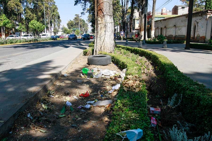 Denuncian tiradero en Colón