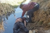 En pleno festejo por sus 18 años, matan a un joven en Otzolotepec