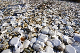 WWF pide la prohibición global de cubiertos desechables y otros plásticos de uso común