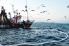 México combate incursión ilegal de barcos en área de pesca estadounidense