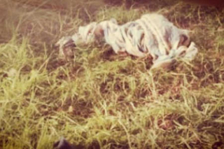 Descubren cuerpo bajo puente de la Toluca–Naucalpan; presentaba signos de tortura