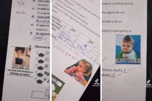 Maestra califica con memes y se vuelve viral