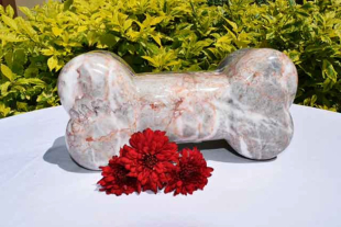 Perder a una mascota puede generar un dolor tan profundo como la muerte de un familiar, revela una encuesta en Reino Unido que pide reconocer este duelo como legítimo