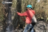 Aumentan incendios forestales en Edomex