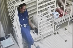 Veterinaria es captada en video leyéndole un cuento a un perro y enternece a las redes