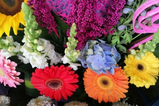 Incremento en precio de flores frena la ventas por el 14 de febrero