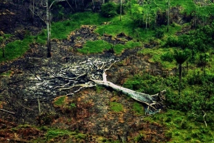 Subrayan que la neutralidad climática y la competitividad del territorio europeo dependen de proteger recursos naturales clave como el agua