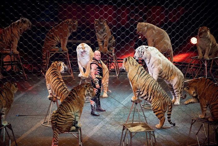 París prohibirá los circos con animales a partir de 2020