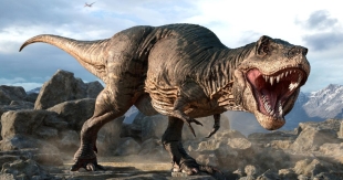 ¿Miedo a los T.Rex? Al parecer, estos dinosaurios eran mucho más grandes de lo que se pensaba