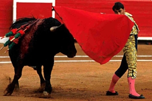 Avanza en el Congreso de la CDMX iniciativa para prohibir las corridas de toros