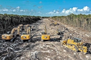 Tribunal otorga suspensión provisional al tramo 5 sur del Tren Maya