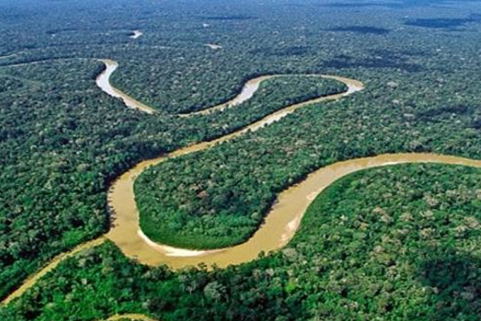La Amazonia podría convertirse en una sabana si continúa el calentamiento global