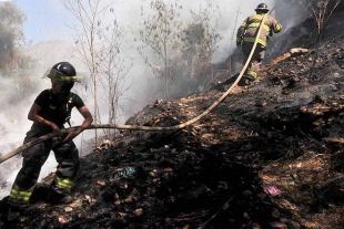 Tamaulipas agota agua para combatir incendios