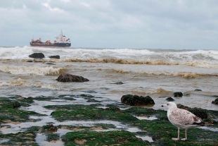 Costas en riesgo ante desequilibrio ecológico