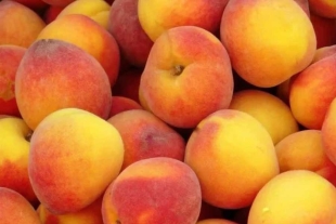 Alerta Cofepris por posible contaminación en fruta de la marca HMC Farms