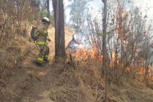 Sofocan incendio en Cerro de los Magueyes en Metepec