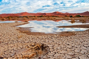 Escaseará agua en 20  megaciudades para 2050