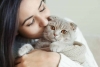 Los gatos suelen apoyarse en sus familias humanas como fuente de seguridad emocional