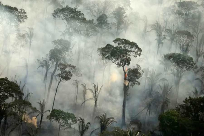 Deforestación en la Amazonia brasileña registra nuevo récord en abril