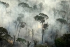Deforestación en la Amazonia brasileña registra nuevo récord en abril