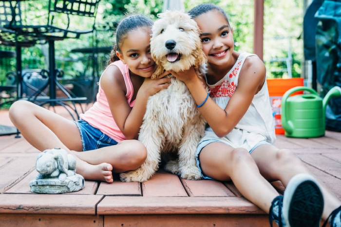 Amor por los perros en tu ADN