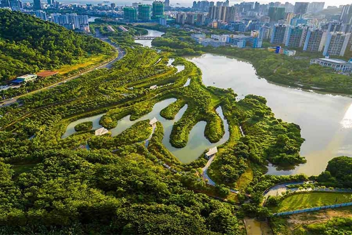 “Ciudades esponja”, un modelo urbanístico para salvar el planeta