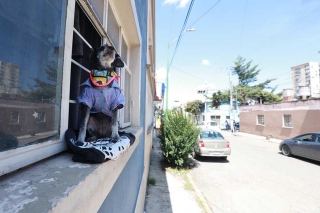 La consentida del barrio