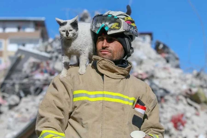 Conoce a “Enkaz”, el gatito rescatado en Turquía que no quiere alejarse de su salvador