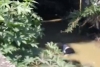 Hayan cadáver flotando en canal de Ecatepec