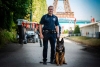 ¡Bien ahí! Perros detectores de bombas son homenajeados por su labor en París 2024
