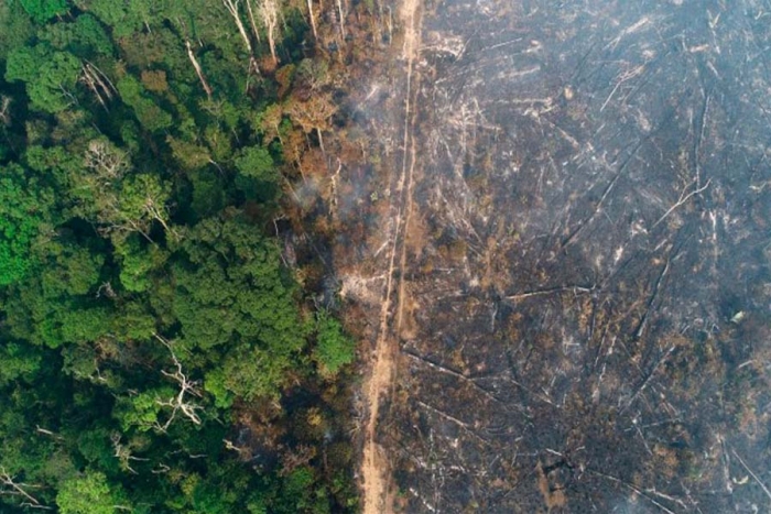 México firma acuerdo para frenar la deforestación mundial en la COP26