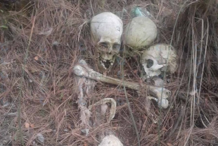 Encuentran cráneos en zona de La Marquesa