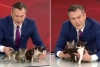 ¡LO MEJOR QUE VERÁS! Presentador interrumpe noticiero para mostrar a gatitos recién nacidos