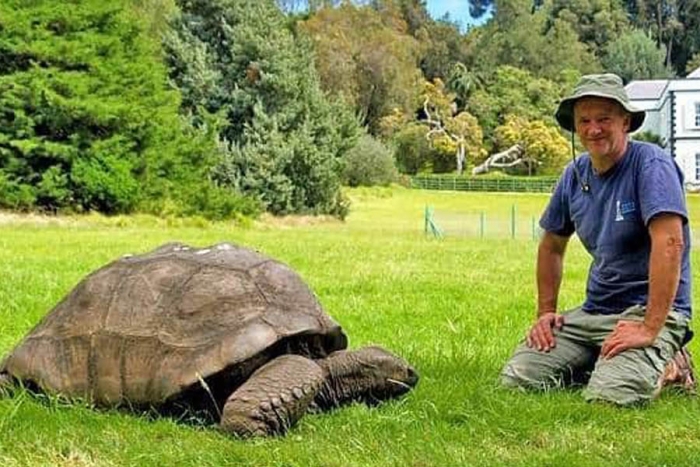Jonathan”, la tortuga más longeva del mundo