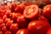 Prohibirá EUA entrada de tomates mexicanos