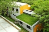 Mexicanos crean techos verdes ligeros y baratos