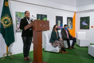 Invitan UAEMéx a exposición “Paisajismo sin paisaje”