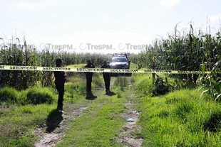 Embolsan cuerpo y lo abandonan entre milpas en San Diego de los Padres