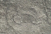 Con ayuda de IA, descubren más de 300 nuevos geoglifos en el desierto de nasca