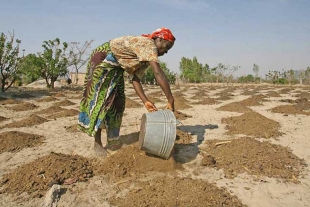 “Reffect Africa”: el nuevo proyecto para producir y abastecer agua en zonas africanas