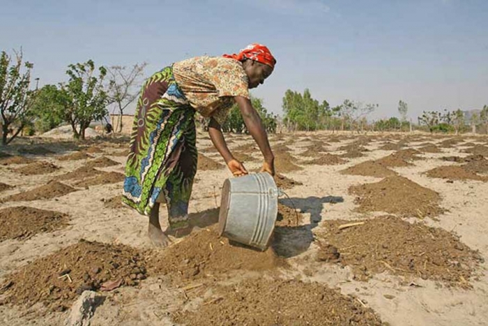 “Reffect Africa”: el nuevo proyecto para producir y abastecer agua en zonas africanas