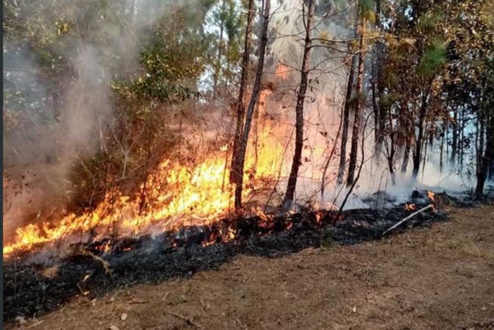 El Salvador declara alerta roja por incremento del 238% en incendios forestales