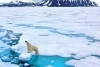 El calentamiento global ha cambiado el destino del Ártico y del planeta para siempre: NASA