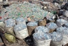 Plástico reciclado es sólo 17% de las botellas nuevas: ecologistas