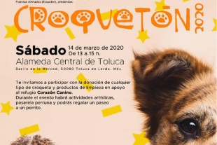 Croquetón 2020: dona y ayuda a los perritos que más lo necesitan