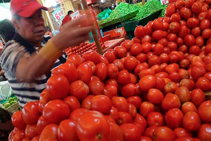 Complicada negociación de tomate con EE.UU.