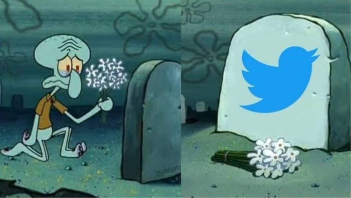 ¿Rip Twitter? Conoce 3 opciones que podrían reemplazar a esta red social